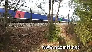 مرد جوان آنلاین ویدئوها شکنجه فلش سیری ناپذیر