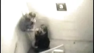 سامان بازی می تواند تا حد زیادی به سازمان دیده بان آنلاین, برهنه, خورد دیک لذت